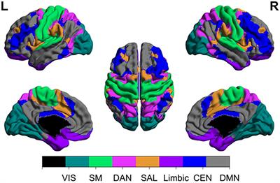 Large-scale brain networks and intra-axial tumor surgery: a narrative review of functional mapping techniques, critical needs, and scientific opportunities